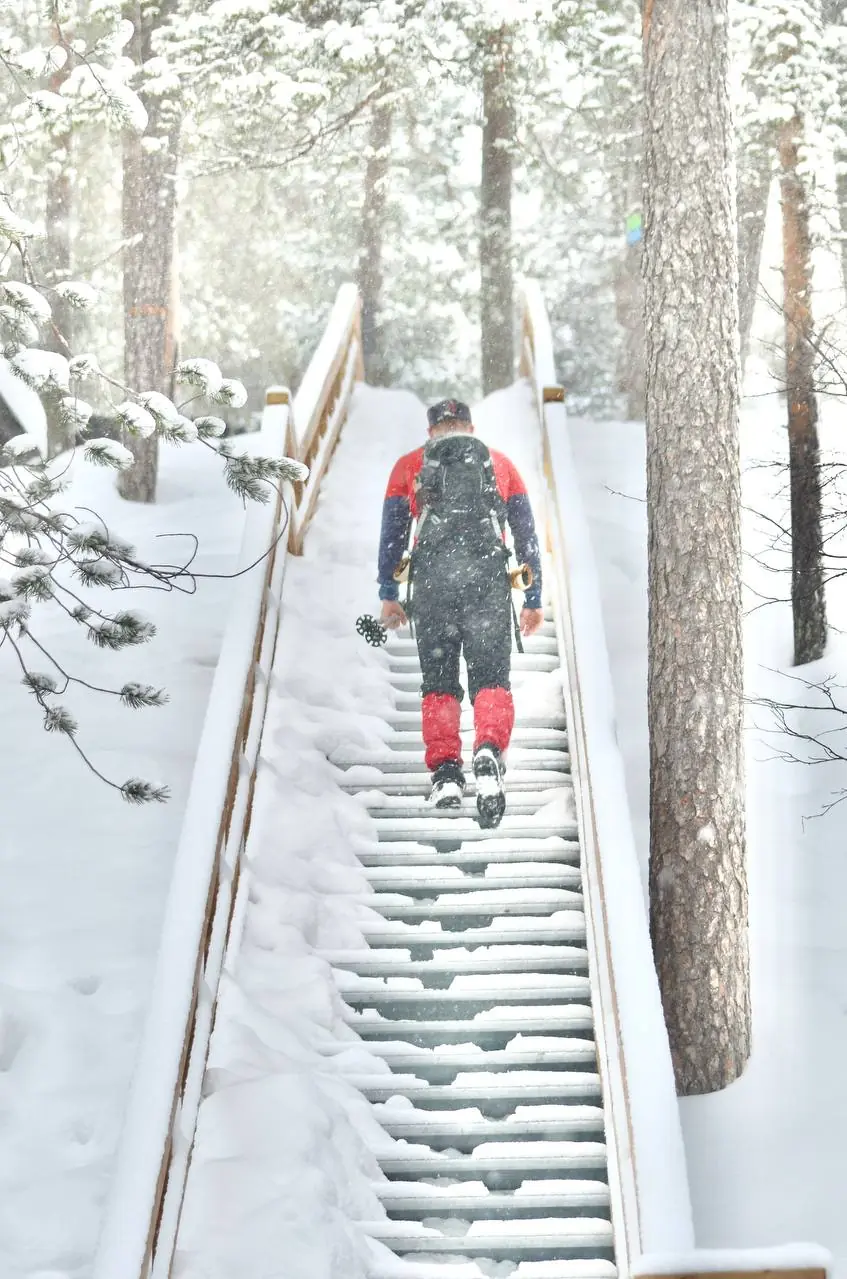 Man walking up snow steps lined with pine trees.