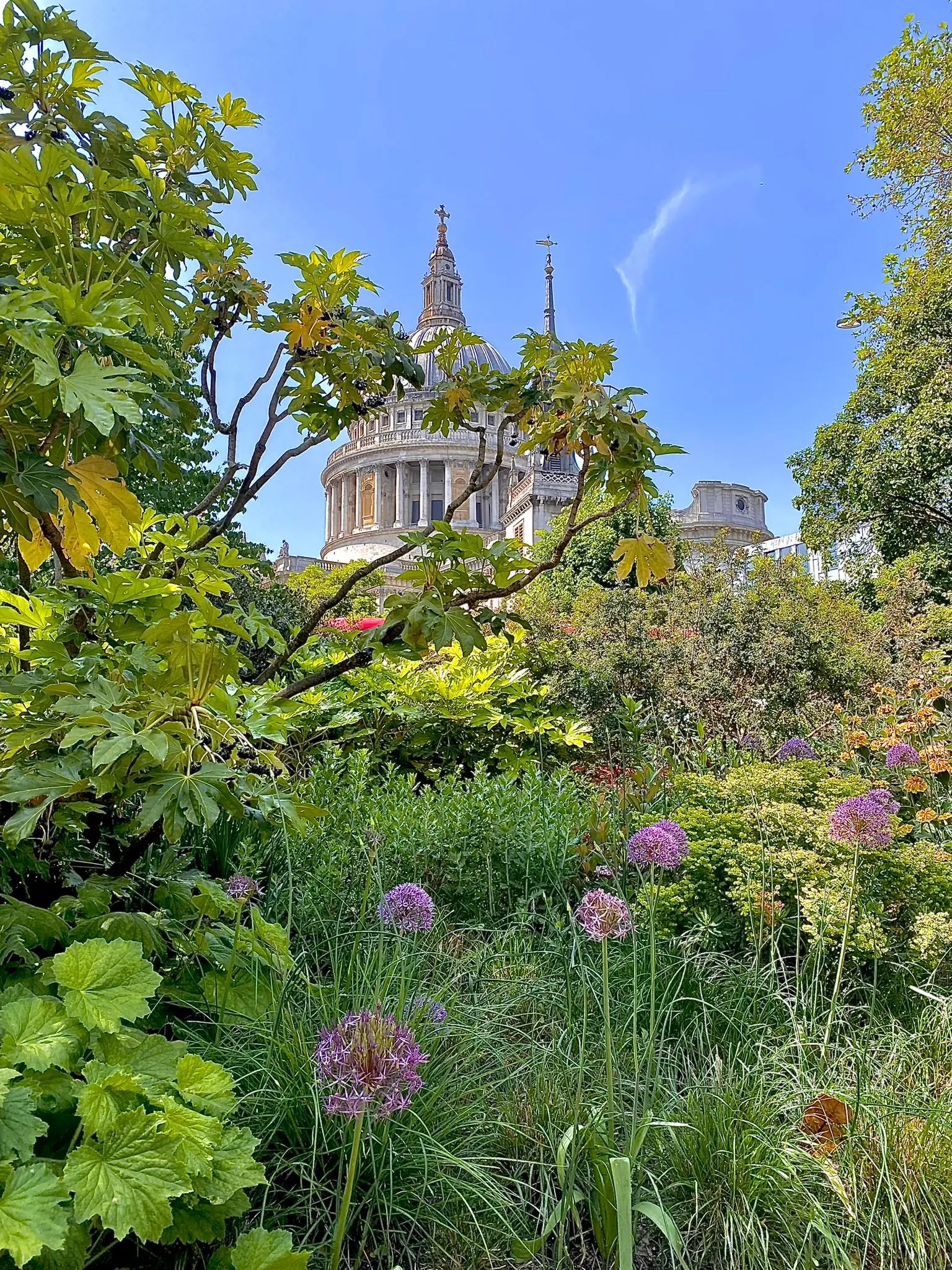 St. Paul's cathedral in the background, garden flowers in the foreground.