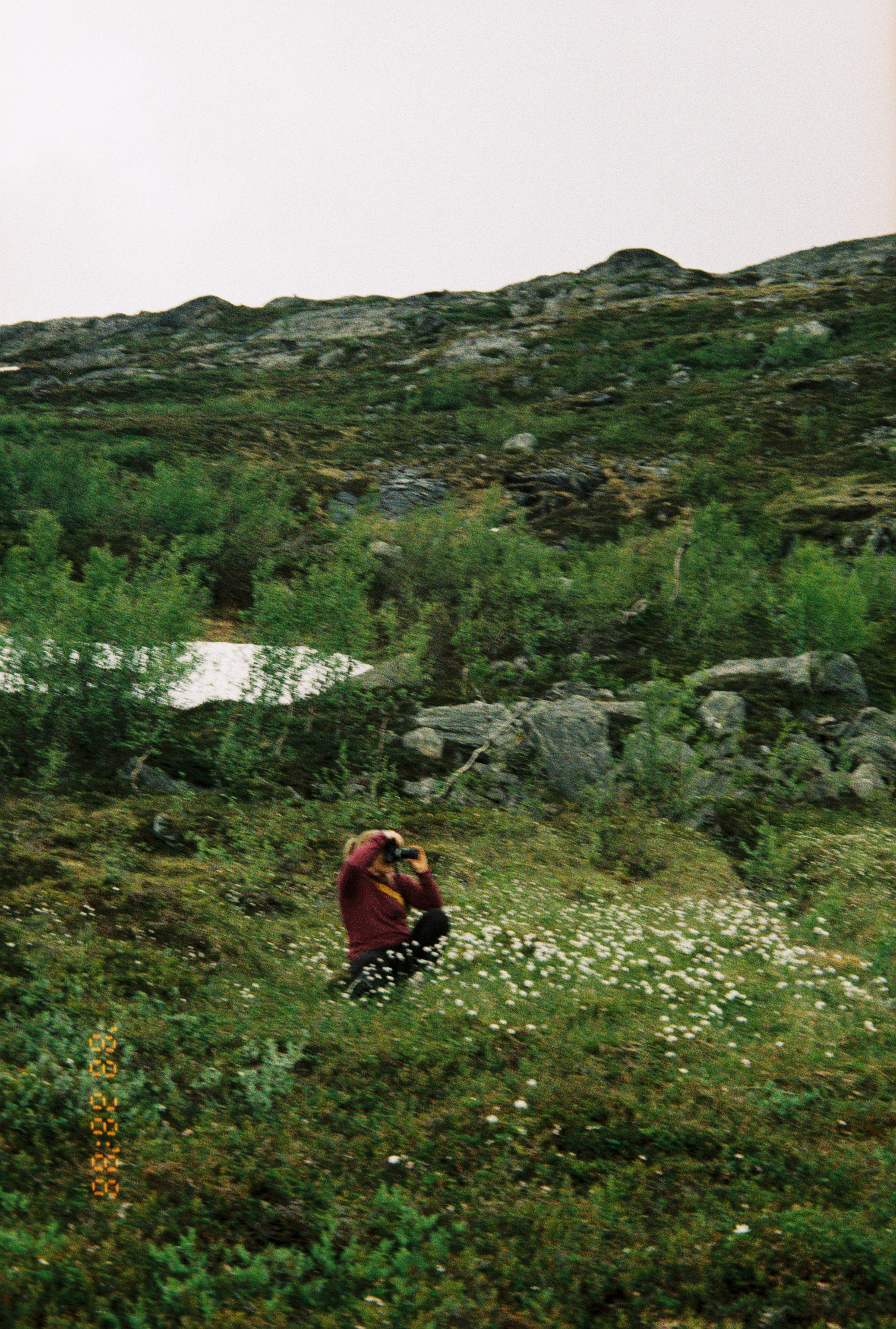 Woman in wildflowers taking a photograph