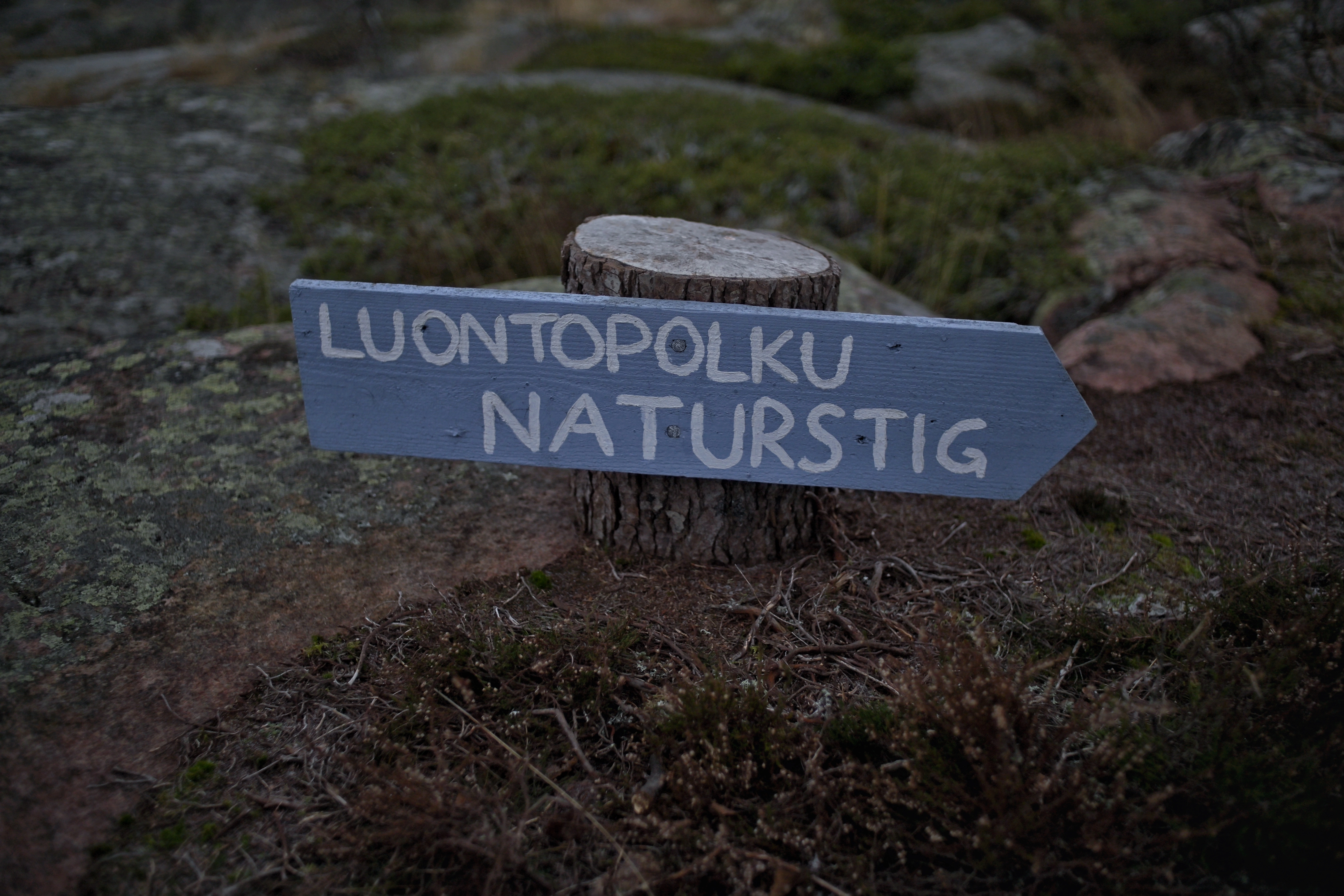 A sign showing the way for a nature path